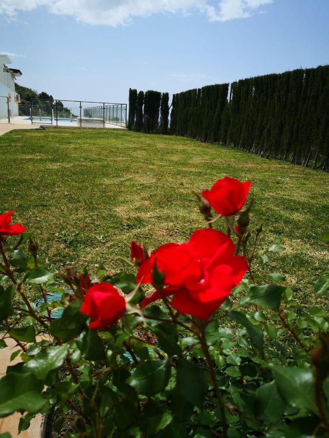 Ferienwohnung Dana I Eurogolf, Vistas, Wifi, Piscina Y Parking Benalmádena Exterior foto